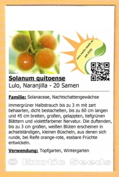 Solanum quitoense * 20 Samen
